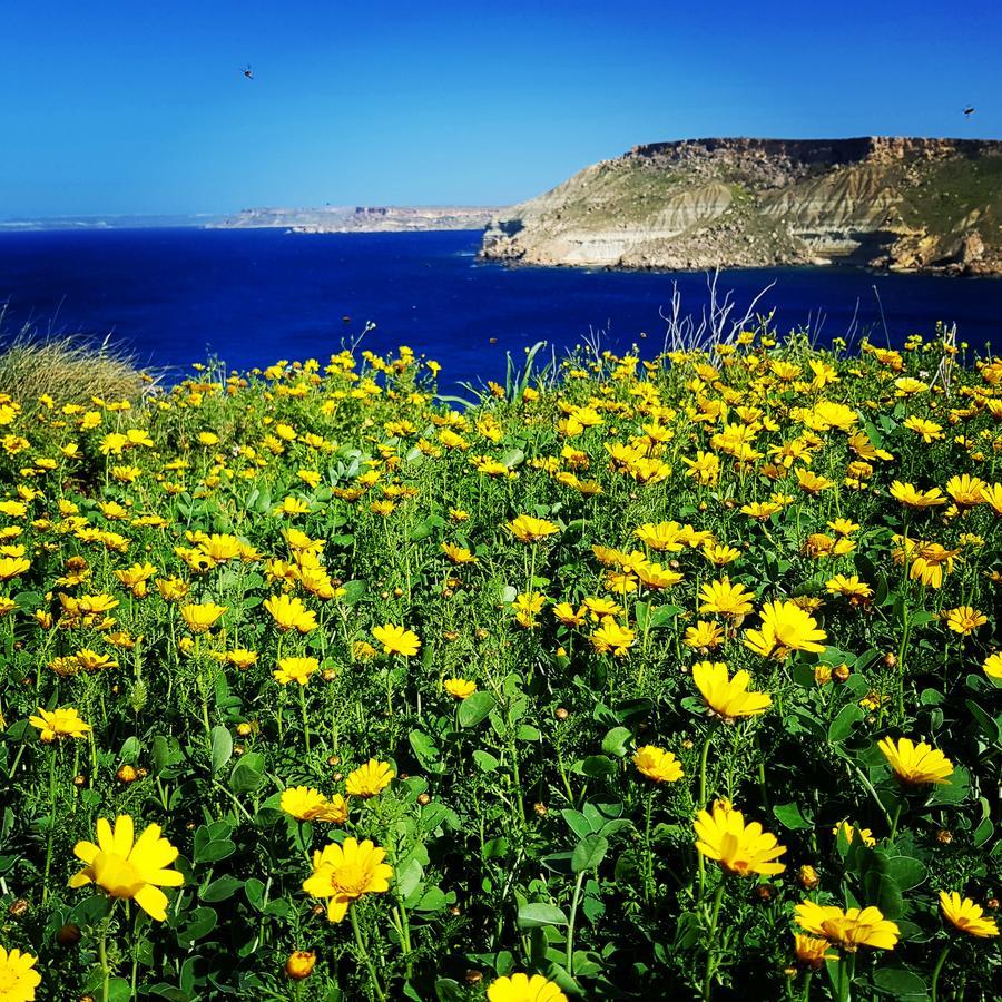 Bed and Breakfast Sunshine Court St. Paul's Bay Exteriér fotografie
